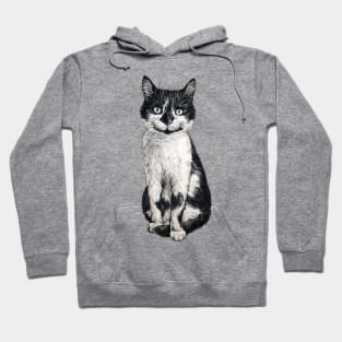 Ogie the cat Hoodie